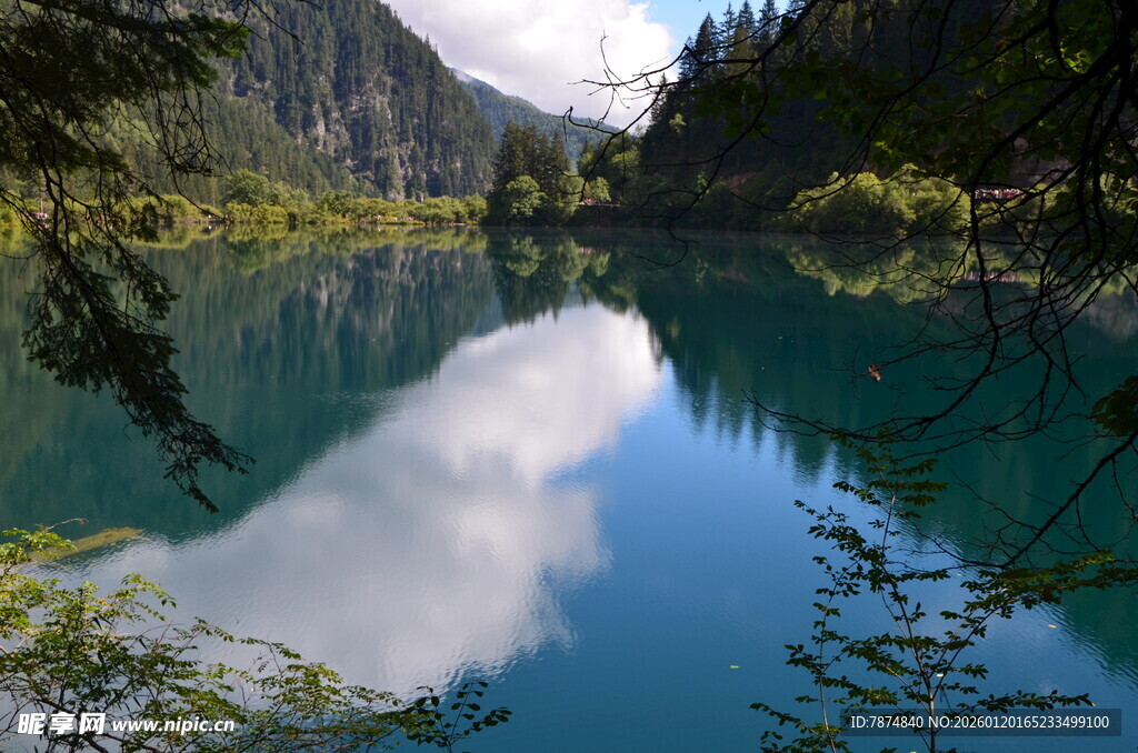 静谧湖景映山林