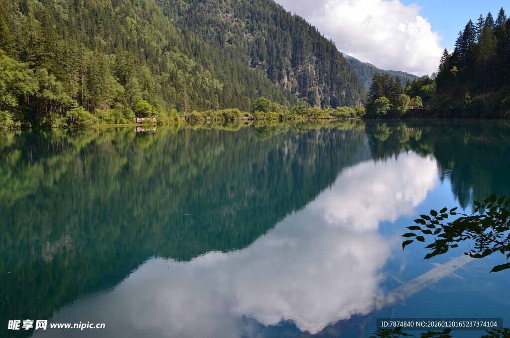 静谧湖景映山林