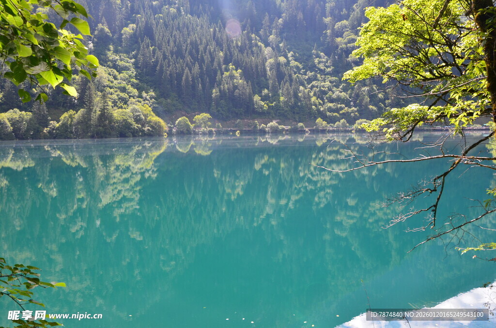 翠绿山林间的澄澈湖水