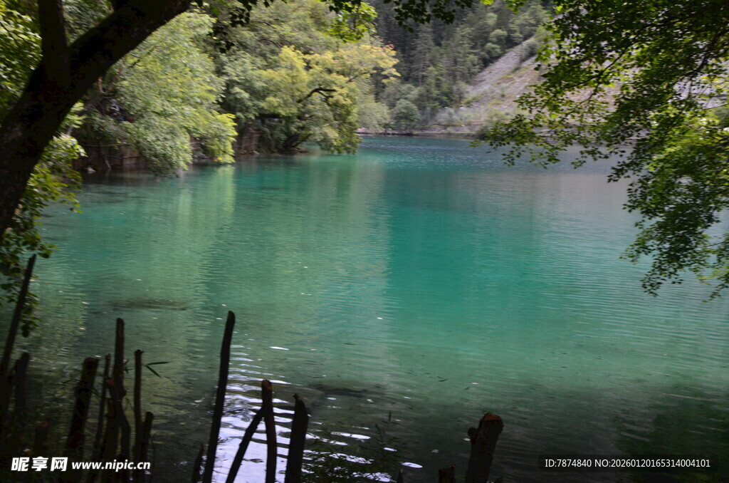 静谧湖畔的自然美景