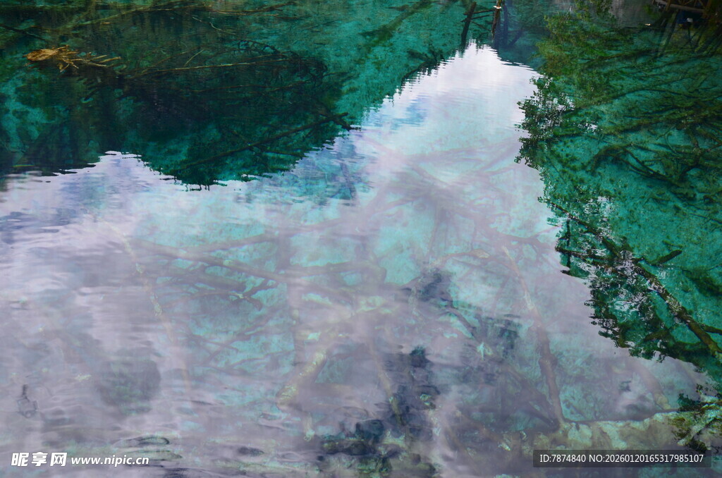 梦幻蓝绿交织的自然景观