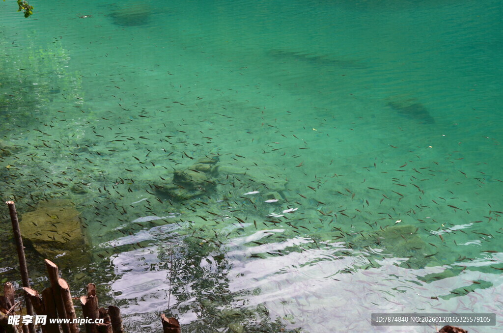 清澈水底景象
