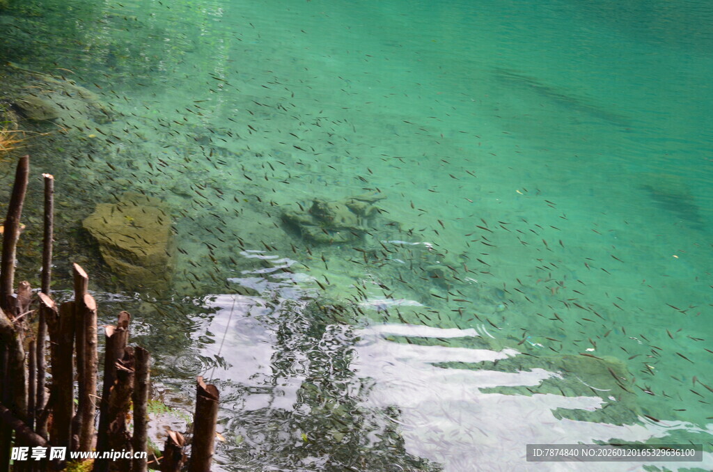 清澈湖水下的自然景致