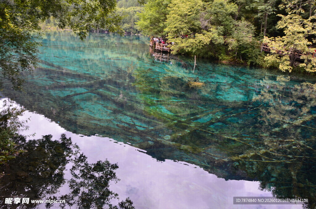 清澈碧绿的山间幽美溪流