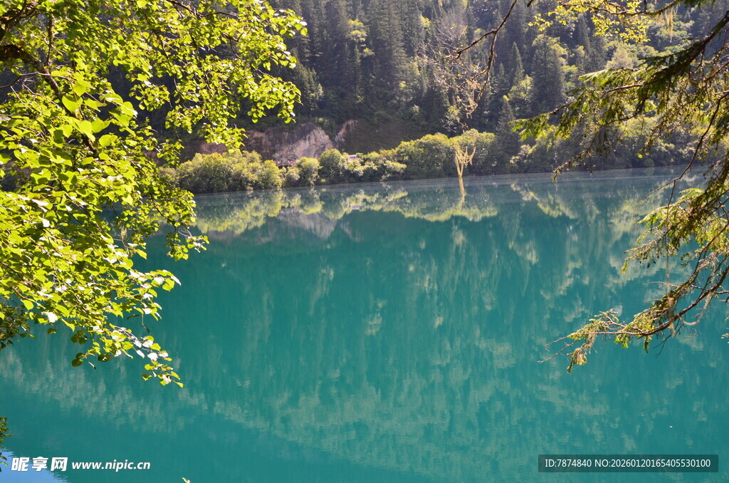 翠绿山林间的澄澈湖水