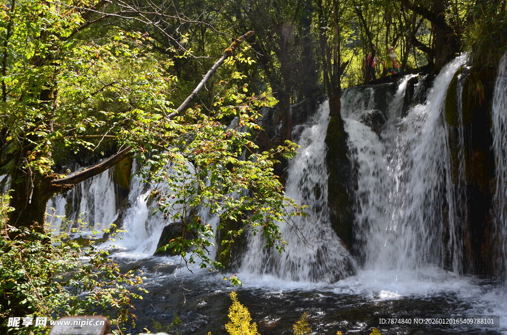 林间瀑布 自然清新美景