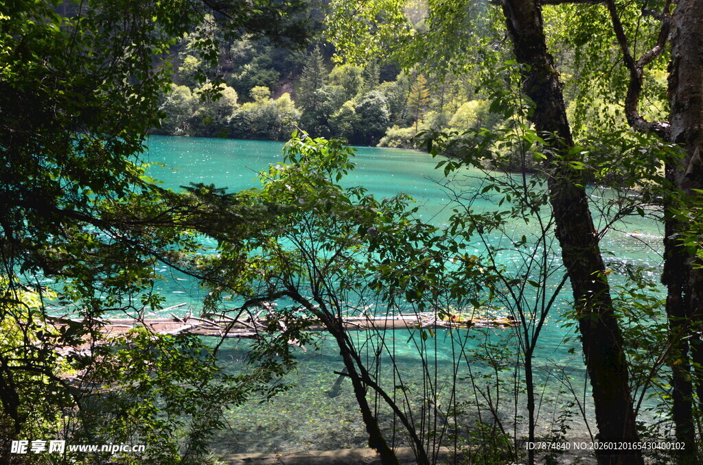 森林间的碧绿清澈湖水