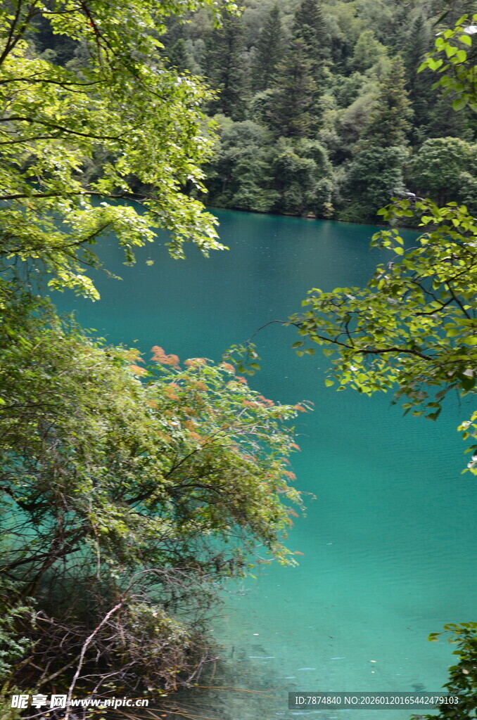 幽美湖景 绿意环绕的自然