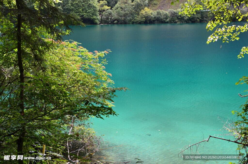森林环绕的幽蓝清澈湖泊