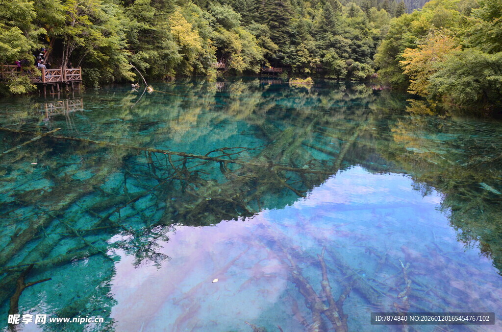 清澈蓝绿湖水与周边山林