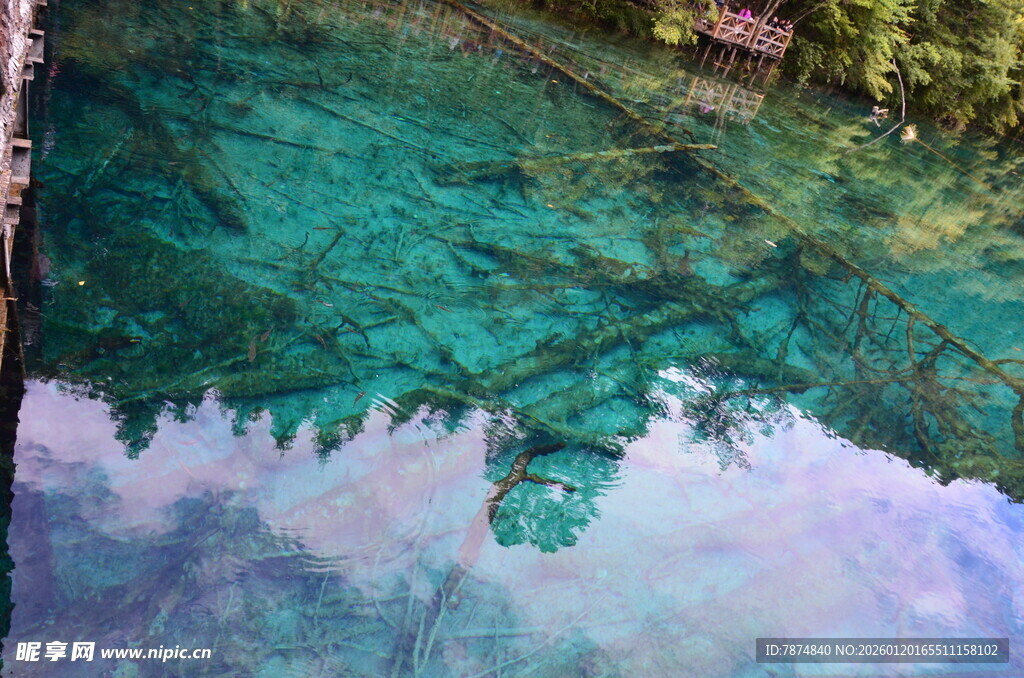 清澈湖水倒映岸边景致