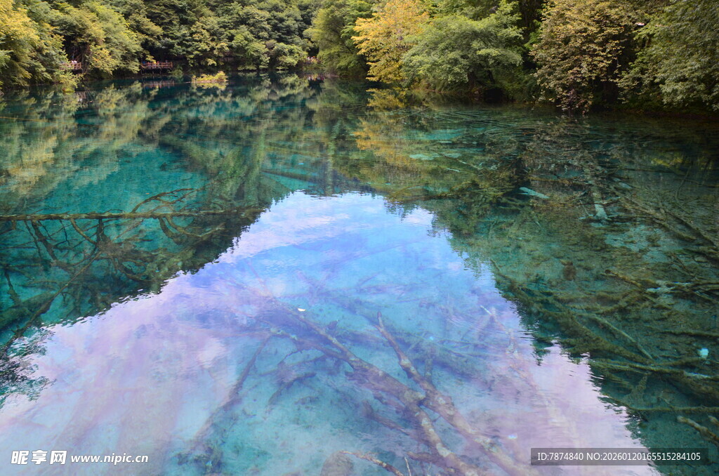 清澈幽蓝的山间潭水
