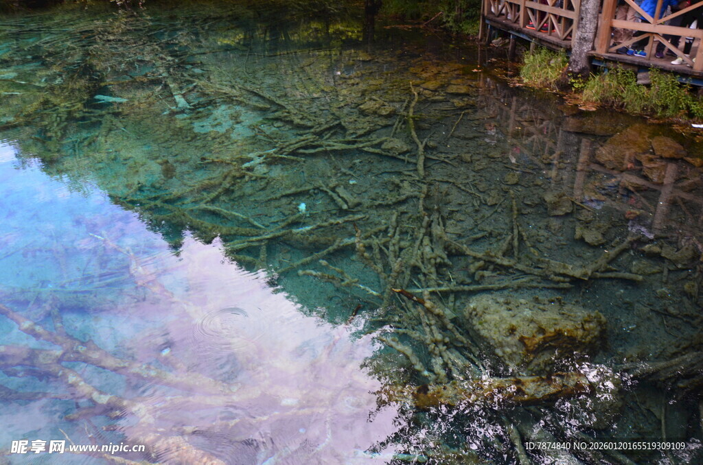 清澈水底景观 自然之美