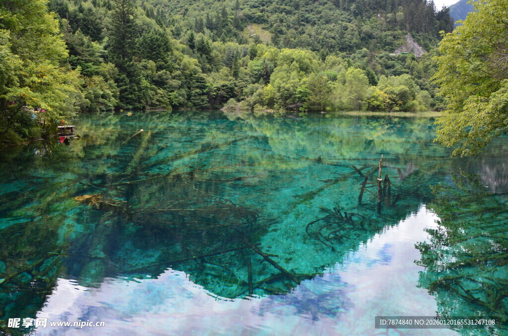 梦幻清澈的翠绿湖水