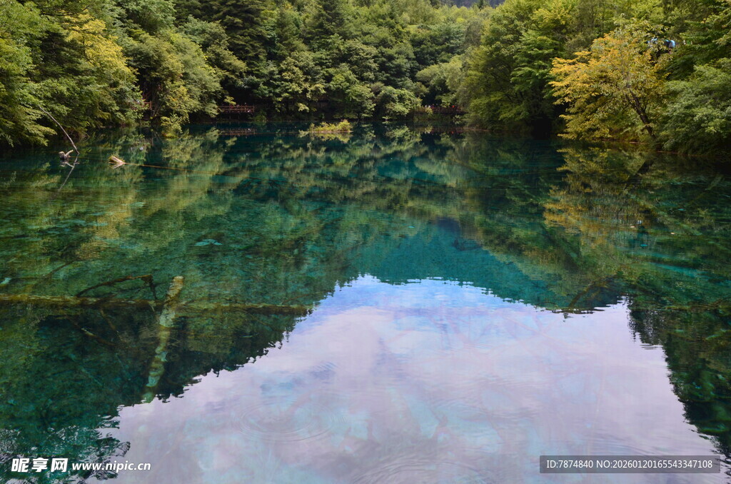 清澈湖水映山林美景