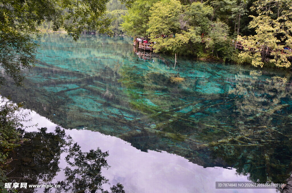 清澈碧绿的山间幽美溪流
