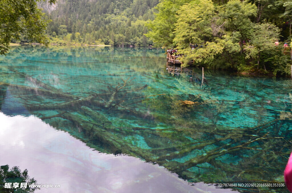 九寨沟清澈斑斓的湖水