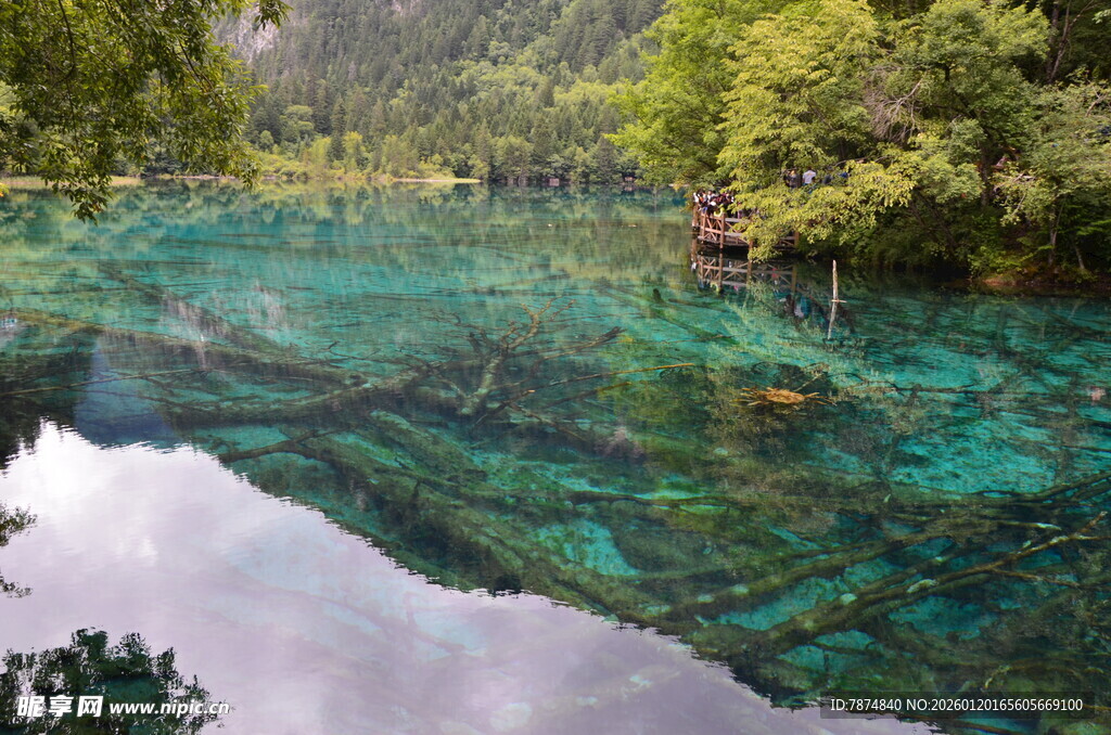 梦幻般的清澈碧绿湖水