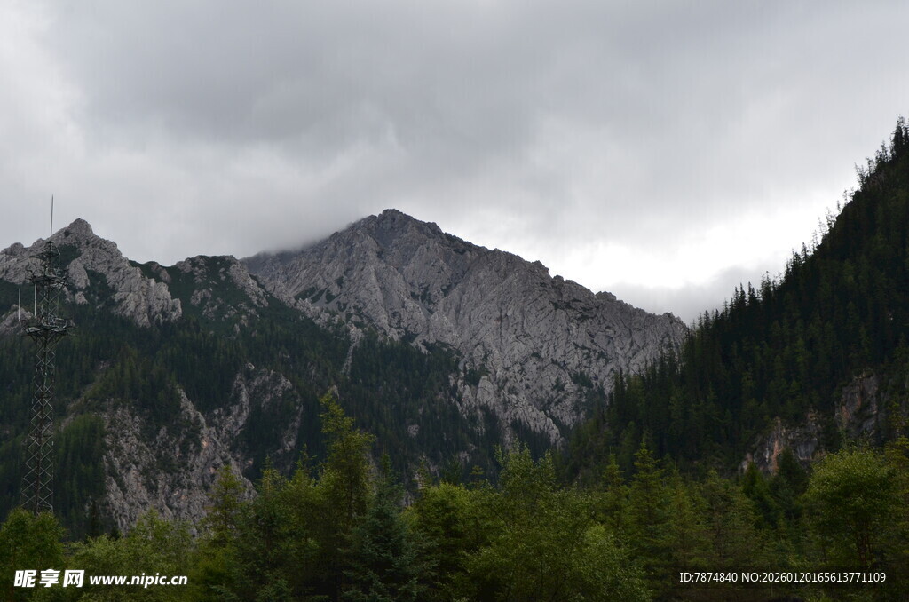 云雾缭绕的山林景观