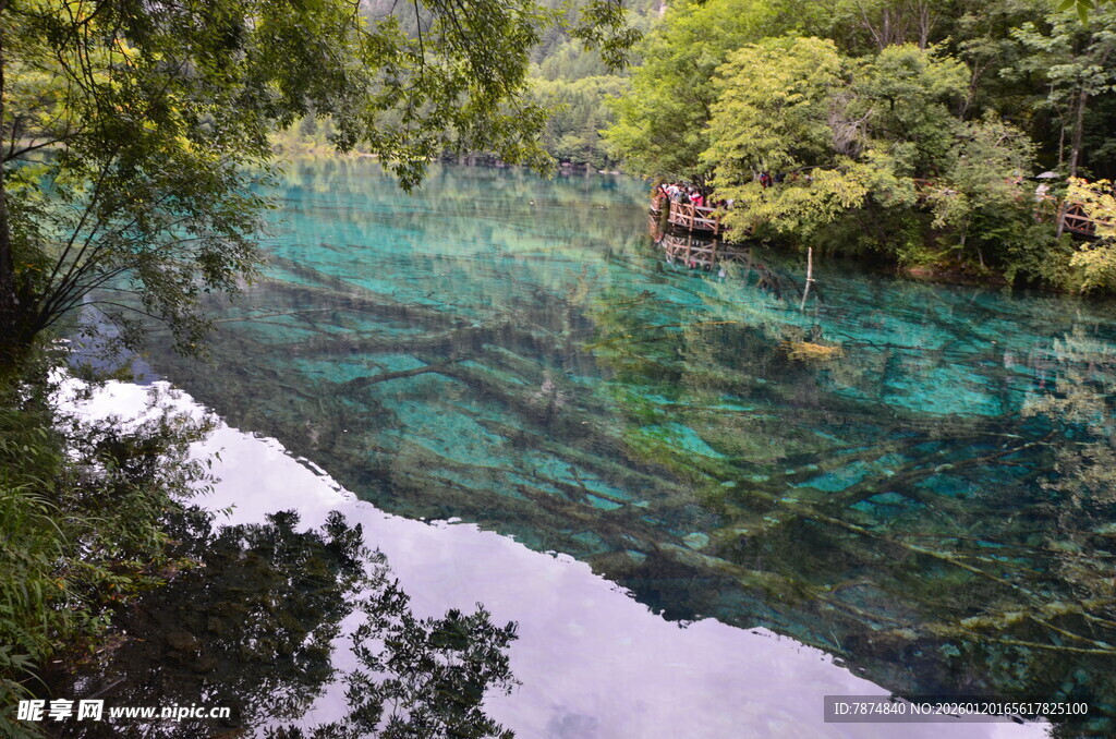 清澈碧绿的山间幽美溪流