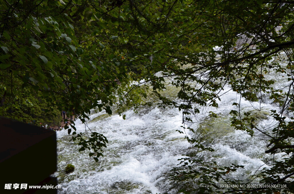透过枝叶见湍急水流