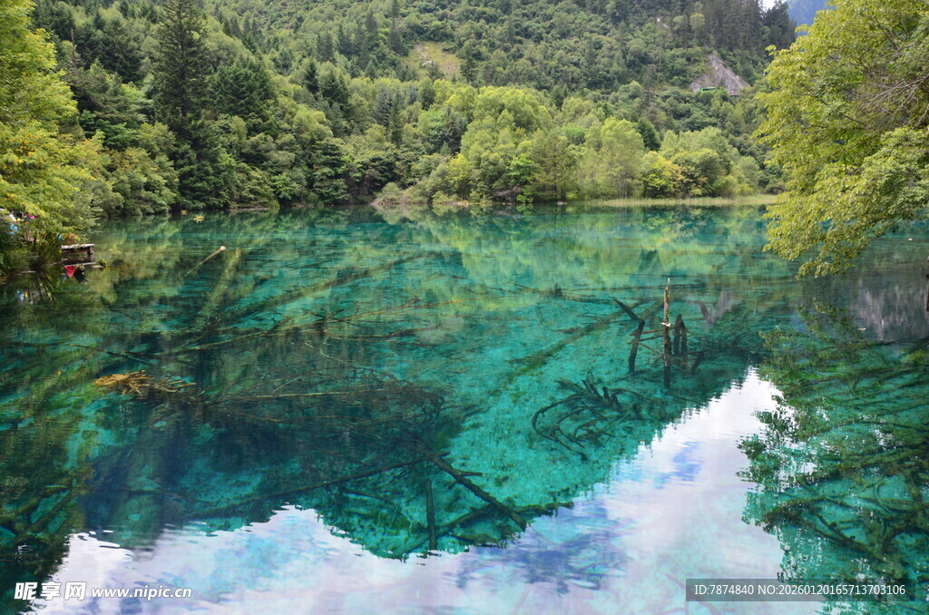 梦幻清澈的山林幽潭