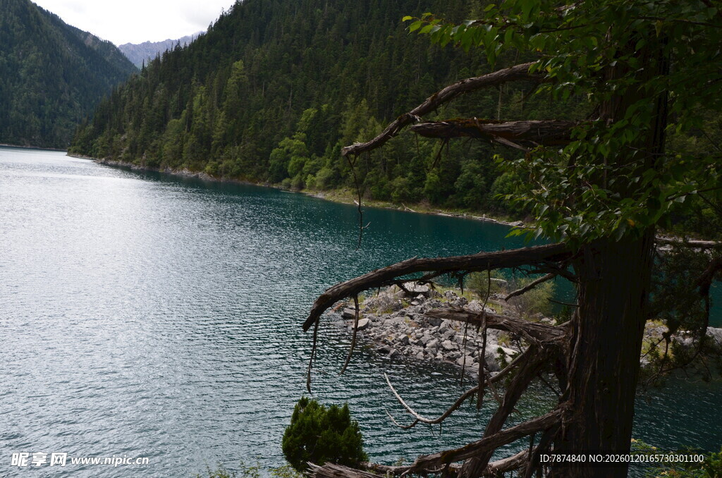 山间幽蓝湖水与岸边树枝