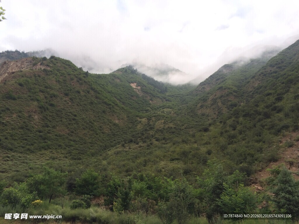 云雾缭绕的翠绿山峦