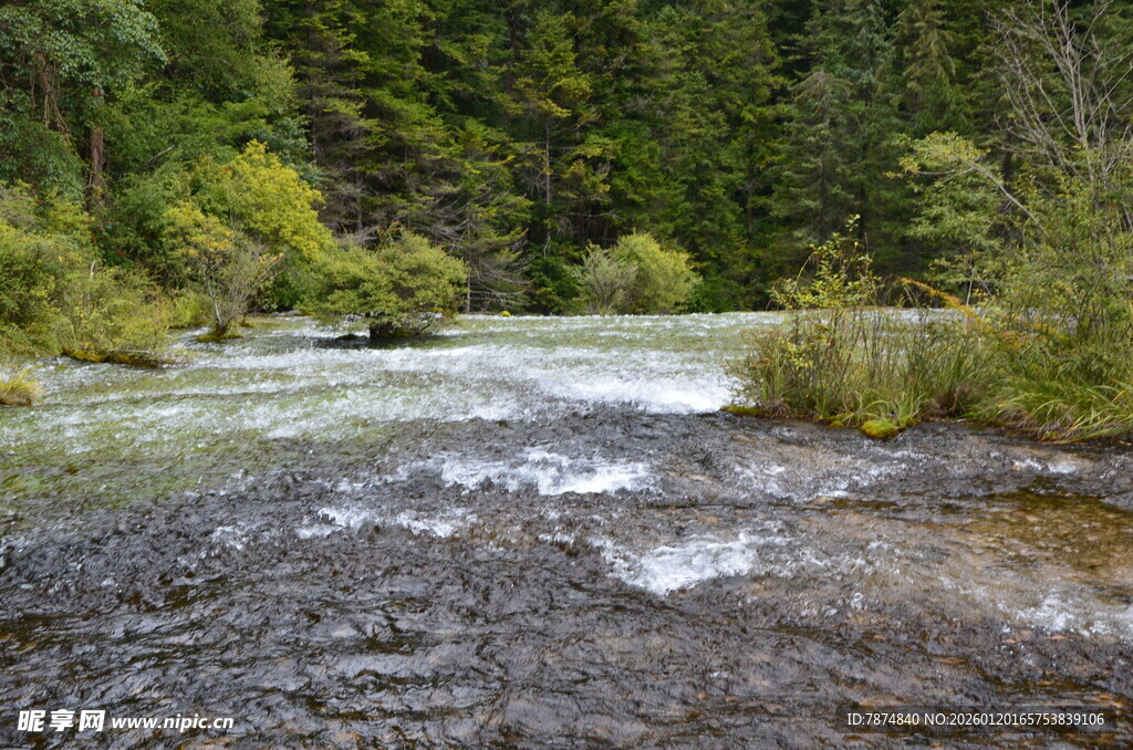 山间溪流 绿意环绕的美景