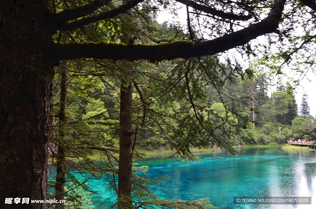 森林中的蓝绿色静谧湖泊