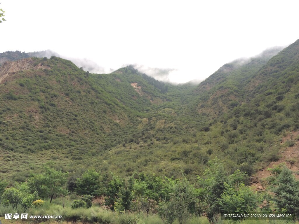 青山绿树间的秀丽山景