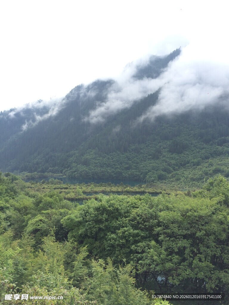 云雾缭绕的山间绿野风光