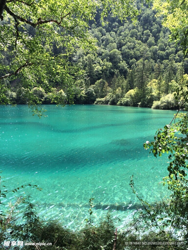 梦幻蓝绿色的清澈湖泊