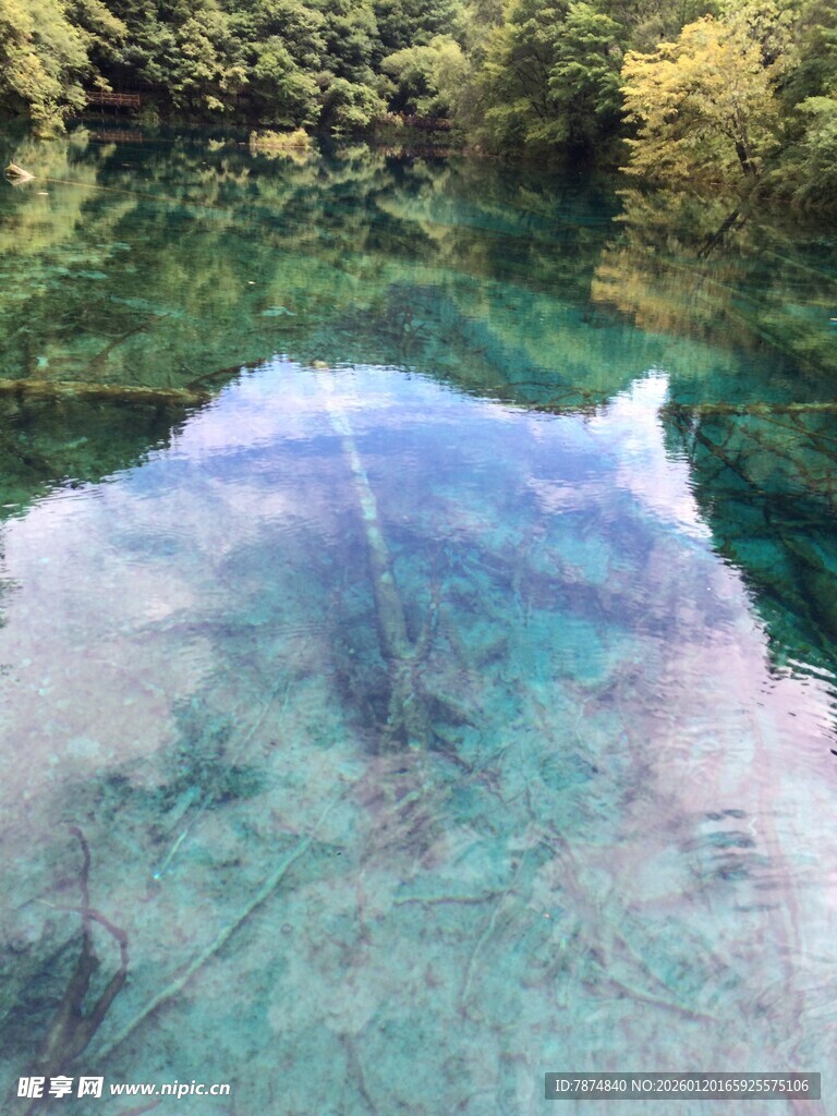 清澈湖水倒映山林美景