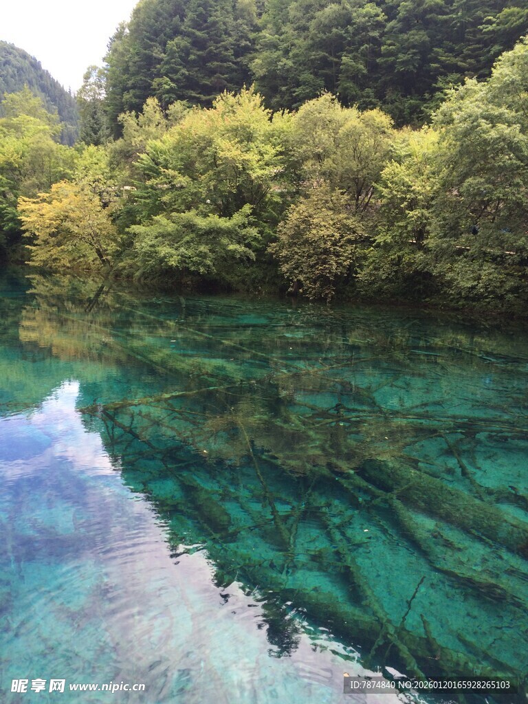 清澈碧绿的山间幽潭