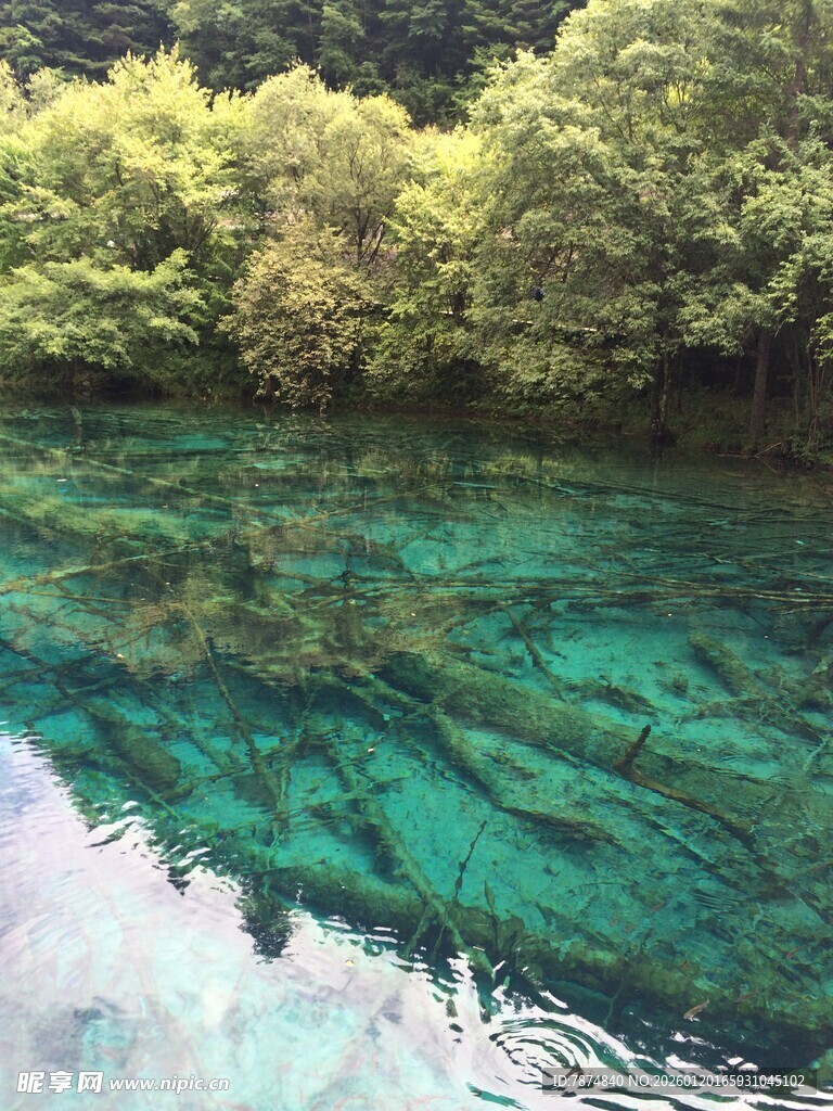 清澈碧绿的山间幽潭