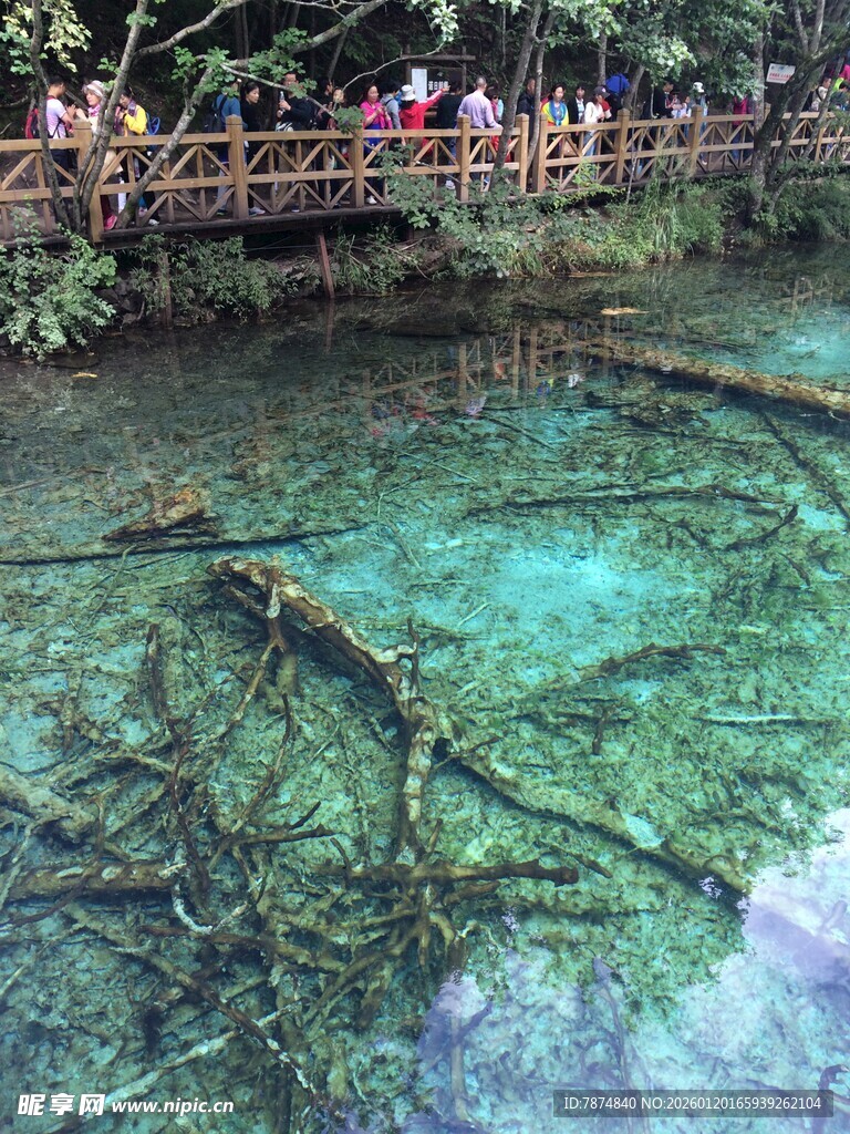 清澈见底的美丽水下景观