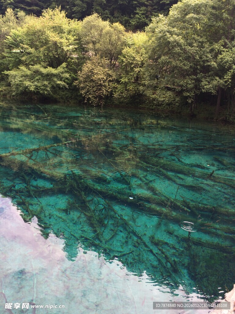 清澈碧绿的森林湖泊美景