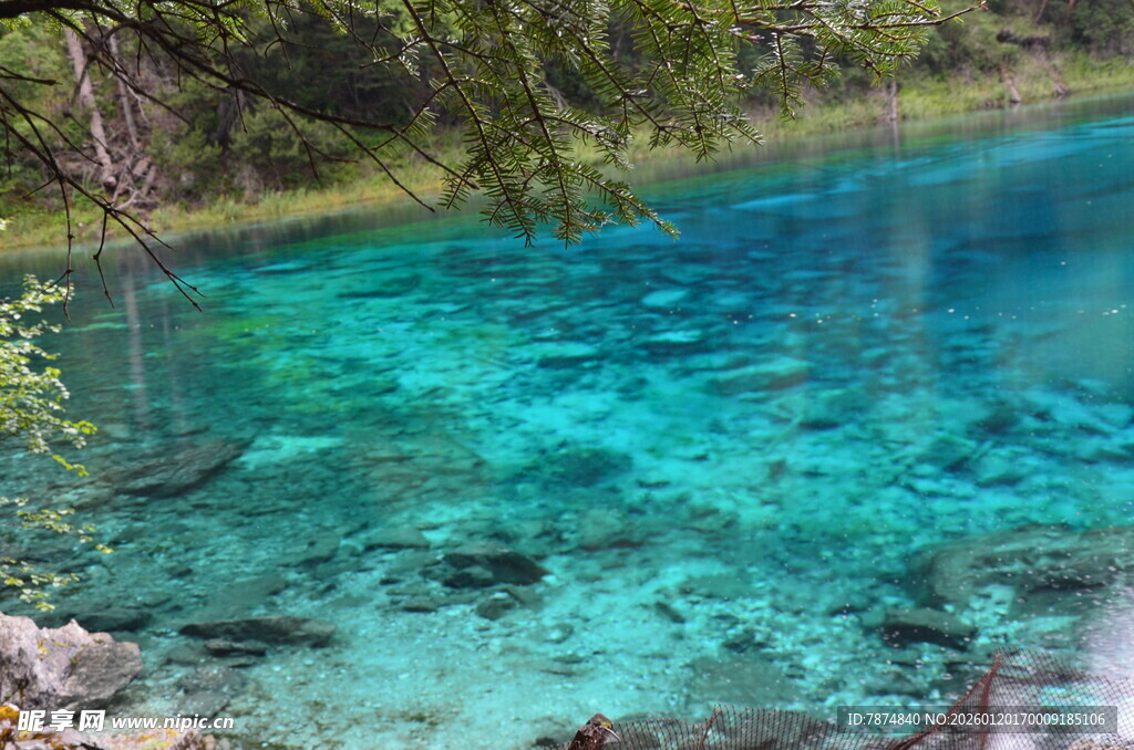 清澈蓝绿色的美丽湖水