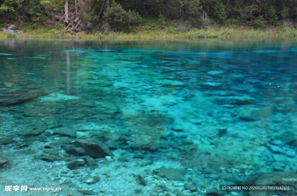 清澈碧蓝的水底世界