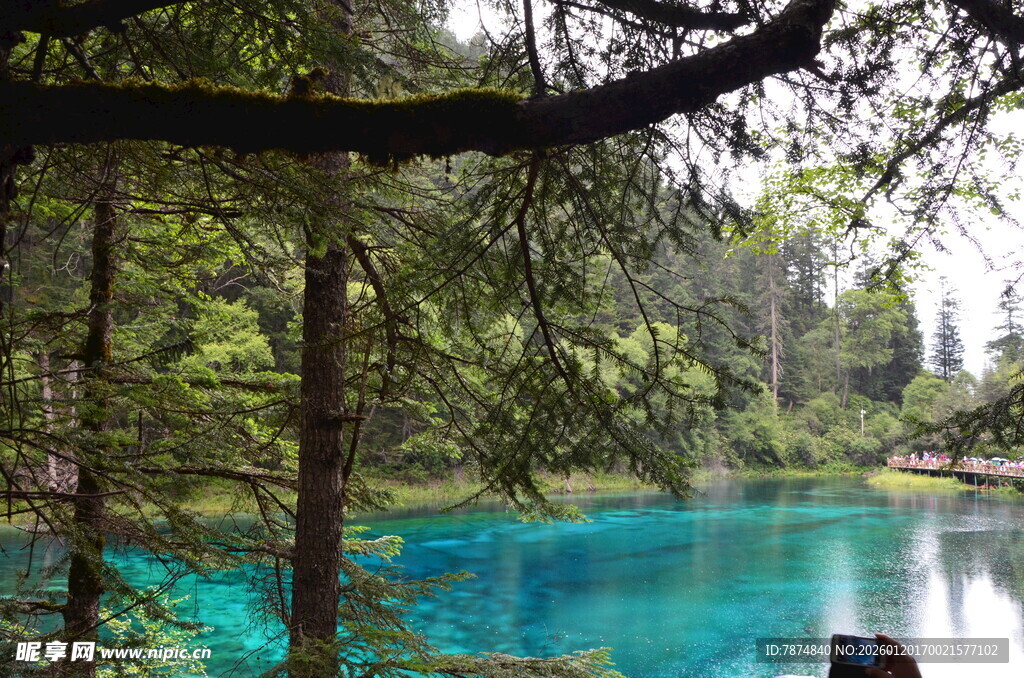 森林中的幽蓝澄澈湖泊