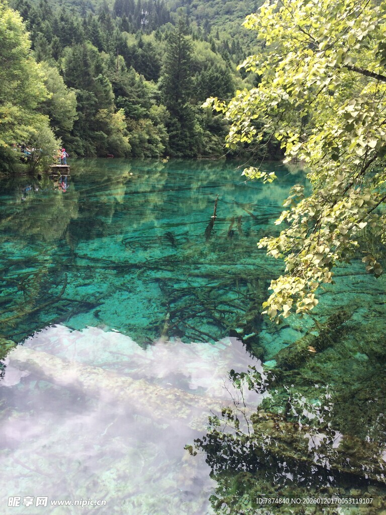 梦幻般的翠绿清澈山水景