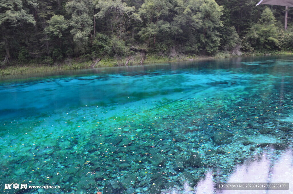 清澈蓝绿湖水 水下景致迷人