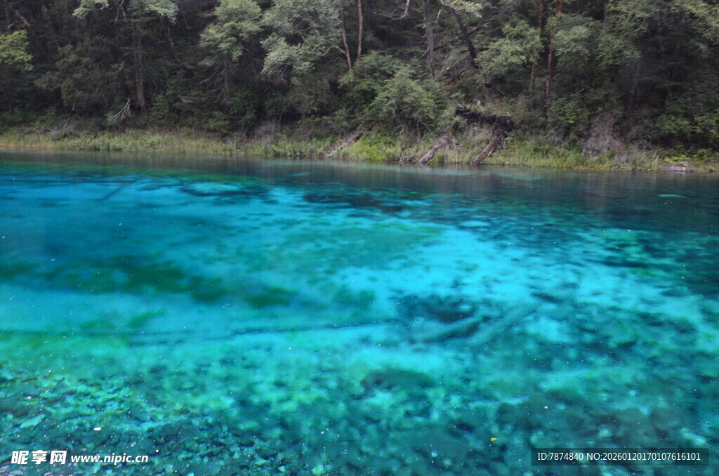 清澈蓝绿色湖水自然美景