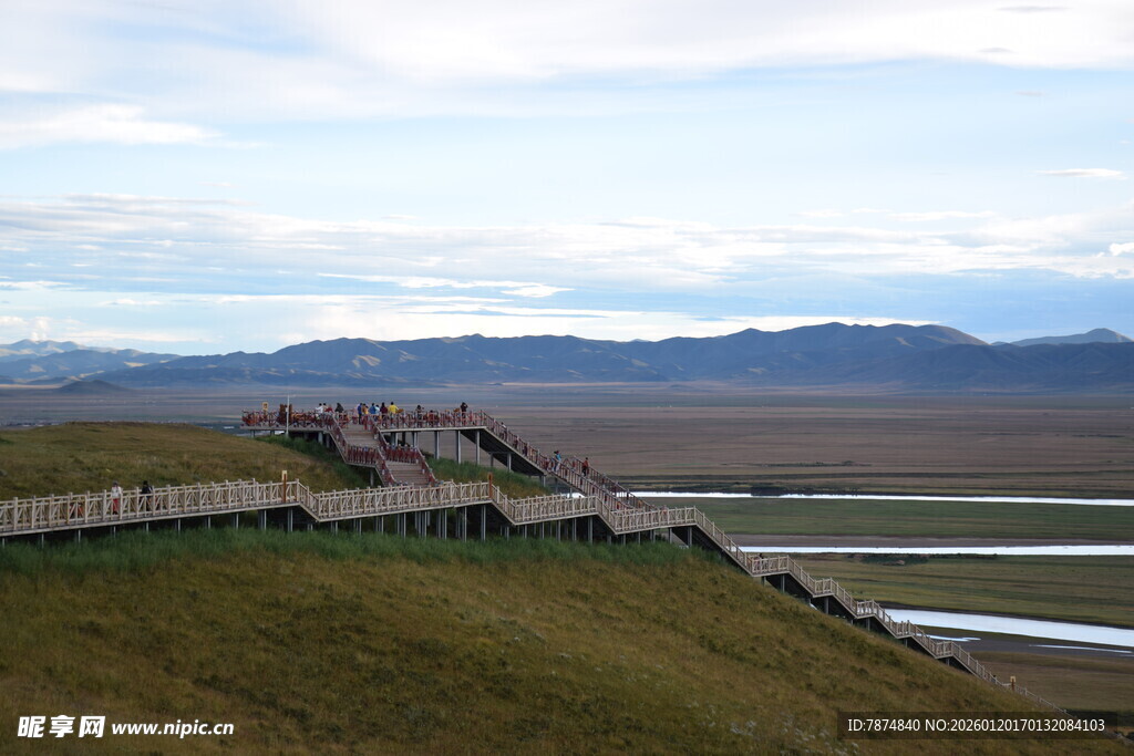 草原公路旁的开阔风景