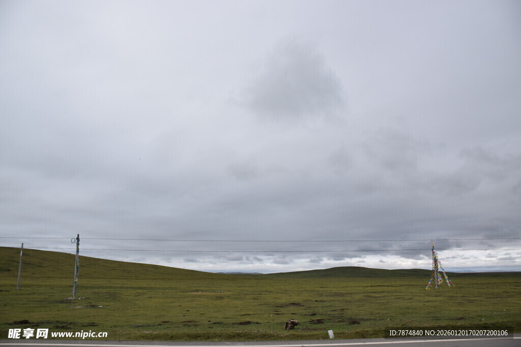 阴天草原风景
