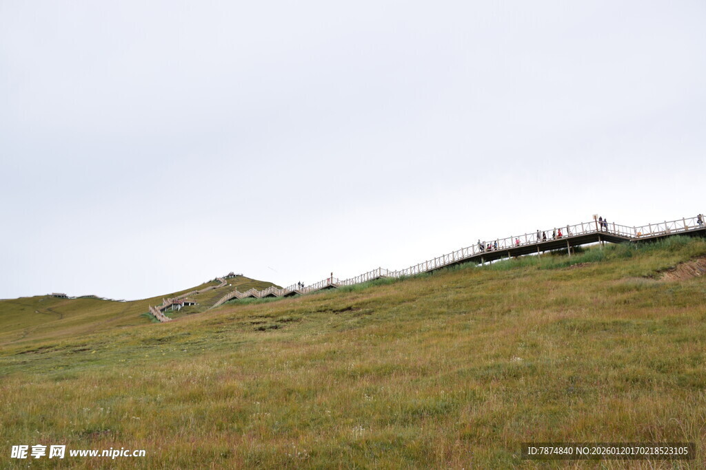 草原远景 天际线与植被