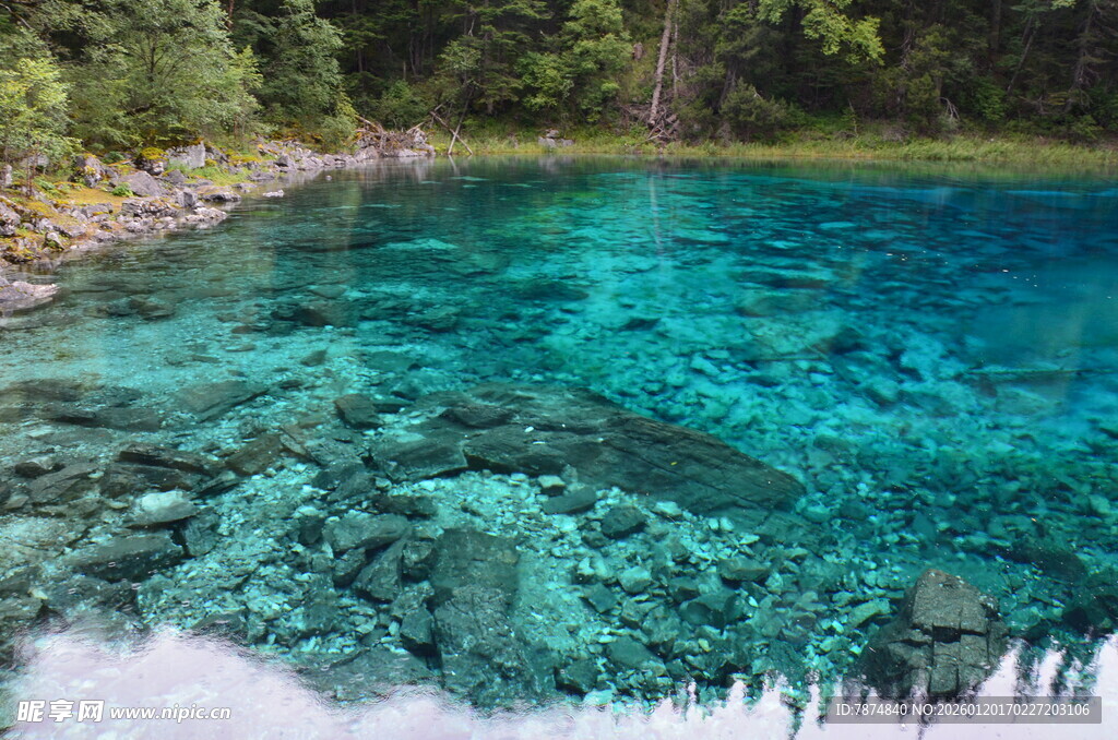 清澈蓝绿色湖水自然美景