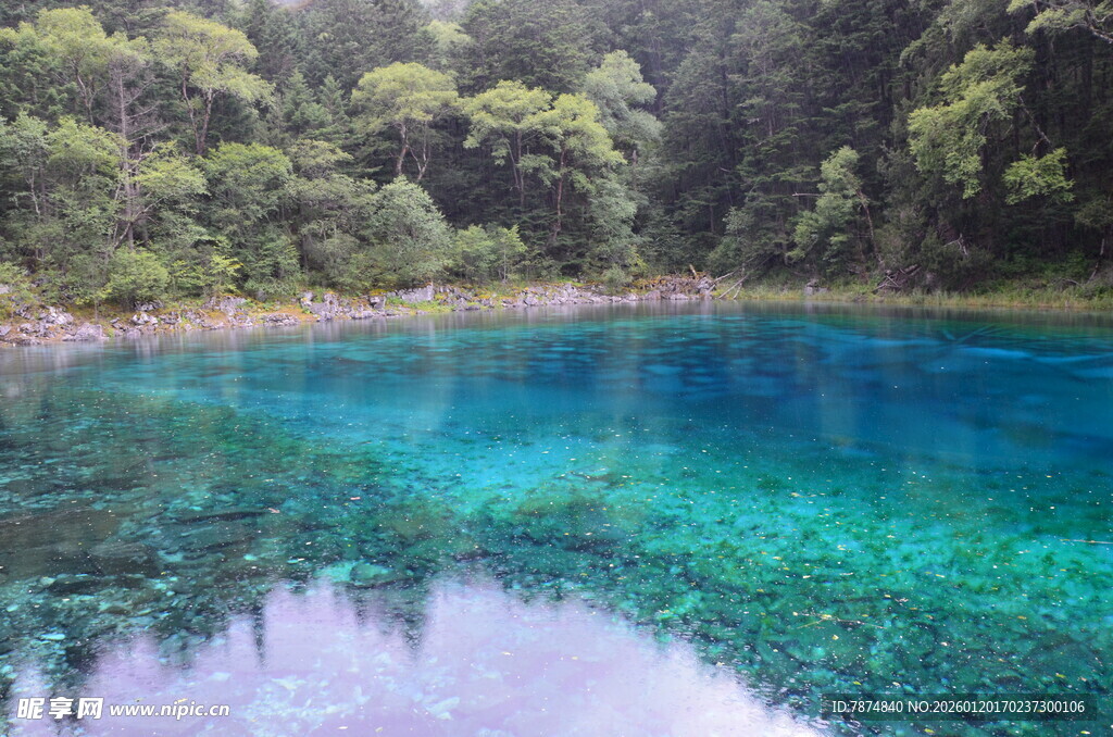 梦幻蓝湖 森林环绕的仙境