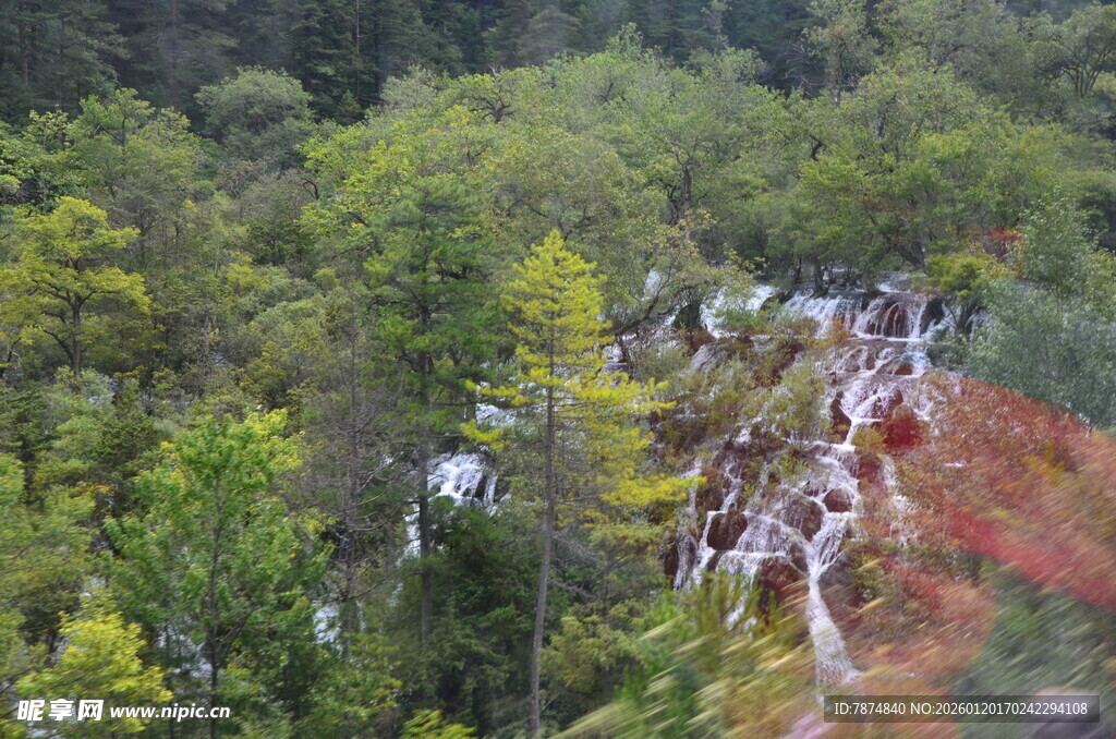 山林间蜿蜒的多彩植被